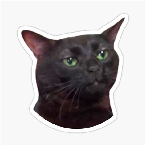 black cat meme face